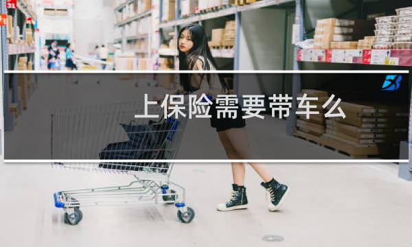 上保险需要带车么