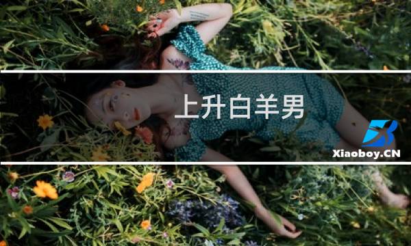 上升白羊男