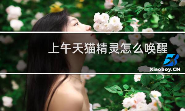 上午天猫精灵怎么唤醒