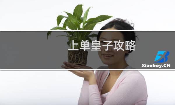 上单皇子攻略