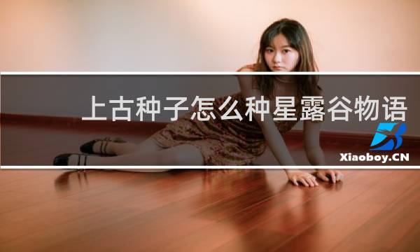 上古种子怎么种星露谷物语