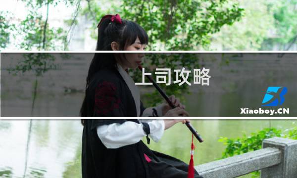 上司攻略 书包网