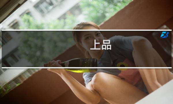 上品 发行量多少