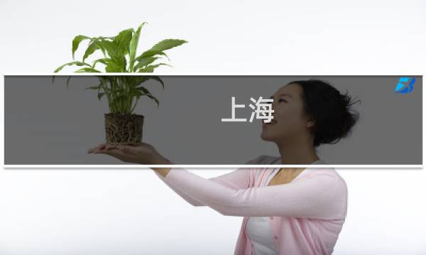 上海 周边 旅游 推荐