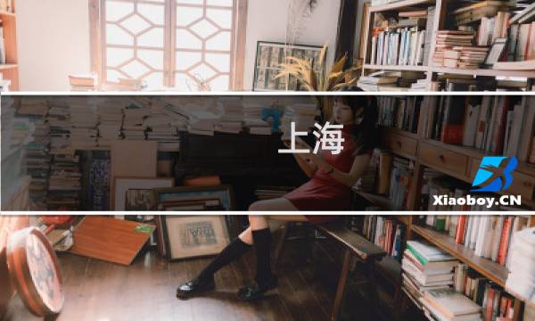 上海 跆拳道价格