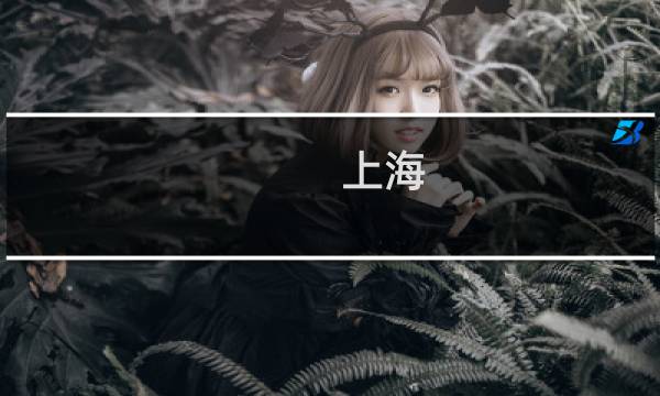 上海 钻石手表价格