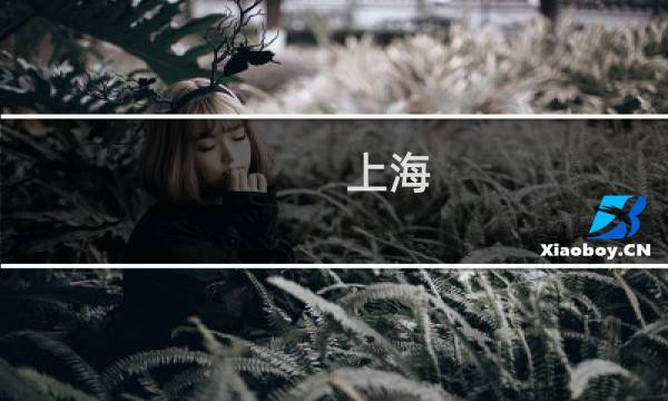 上海 香港 旅游
