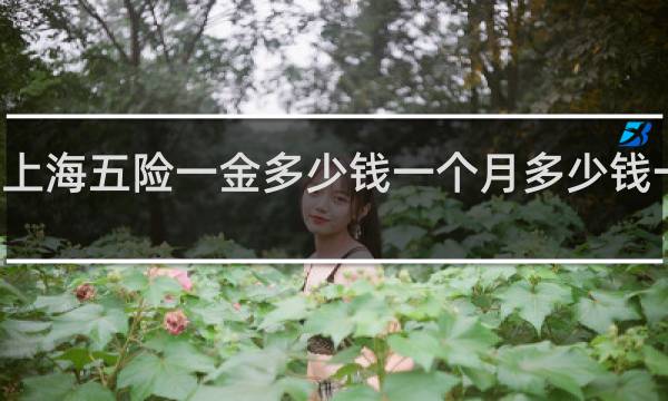 上海五险一金多少钱一个月多少钱一个月