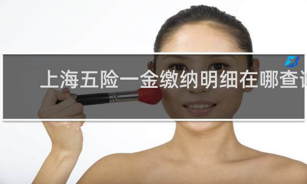 上海五险一金缴纳明细在哪查询