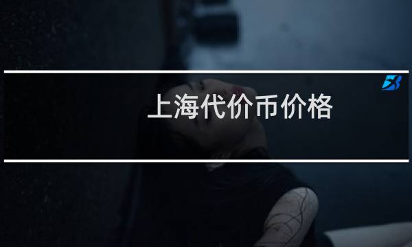 上海代价币价格