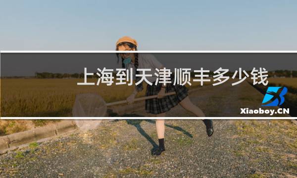 上海到天津顺丰多少钱