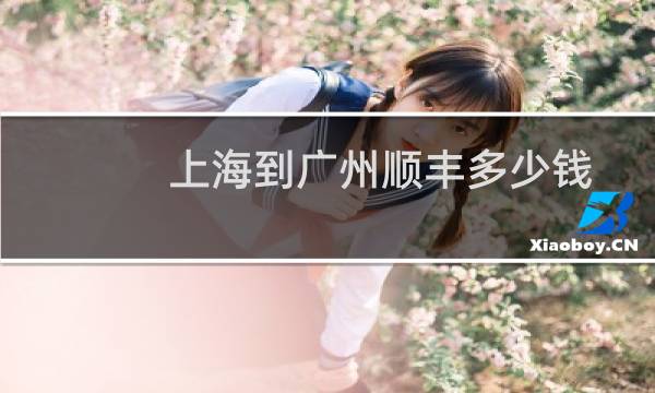 上海到广州顺丰多少钱