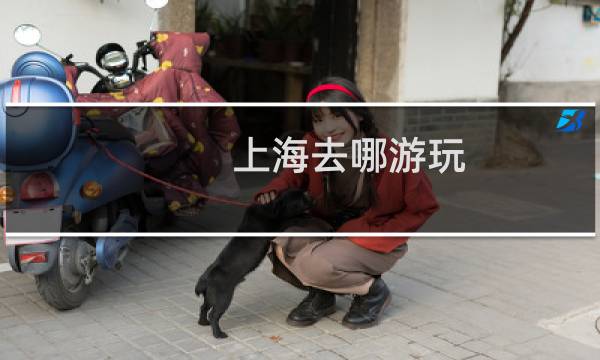 上海去哪游玩