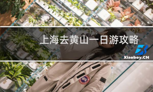 上海去黄山一日游攻略