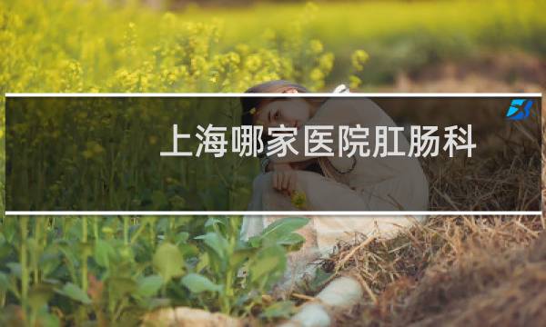 上海哪家医院肛肠科