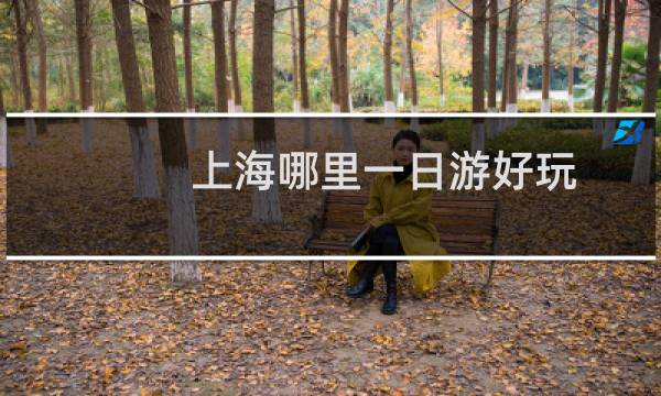 上海哪里一日游好玩
