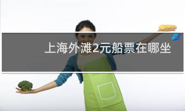 上海外滩2元船票在哪坐
