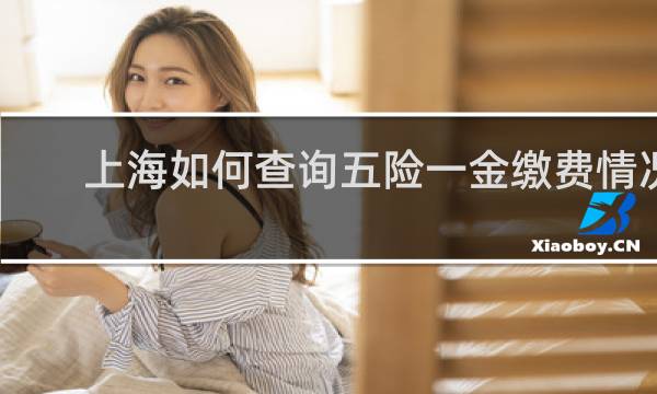 上海如何查询五险一金缴费情况