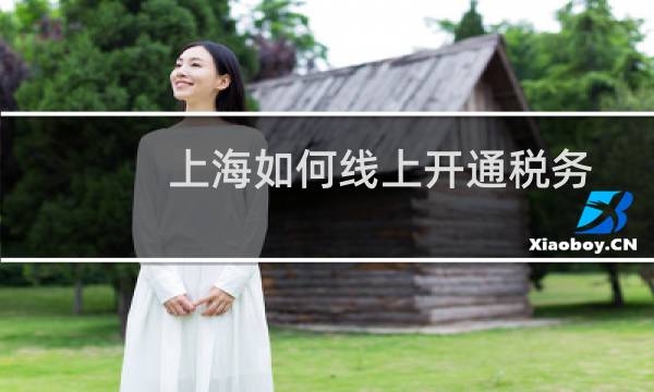 上海如何线上开通税务