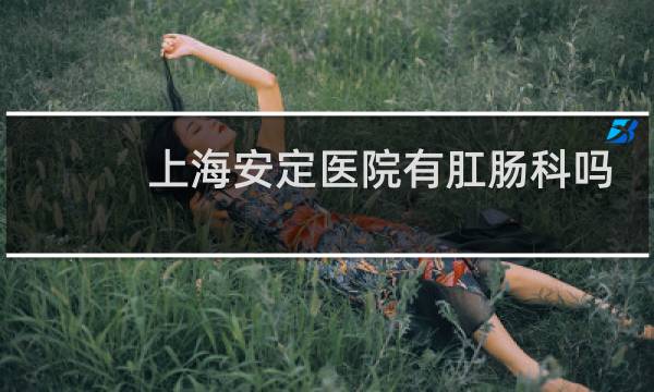 上海安定医院有肛肠科吗