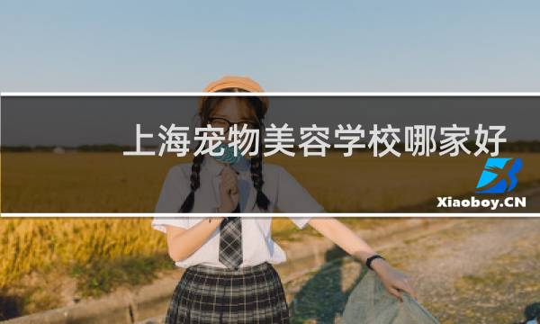 上海宠物美容学校哪家好