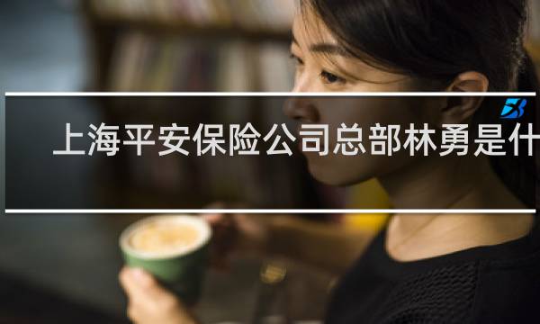 上海平安保险公司总部林勇是什么
