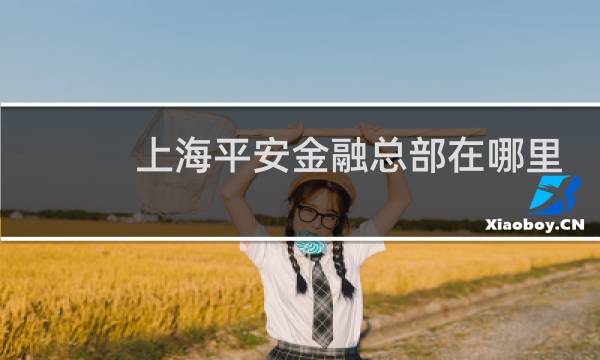 上海平安金融总部在哪里