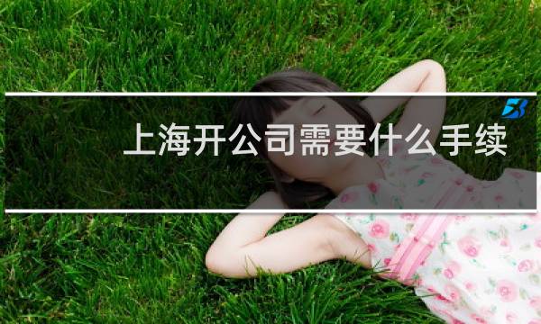 上海开公司需要什么手续