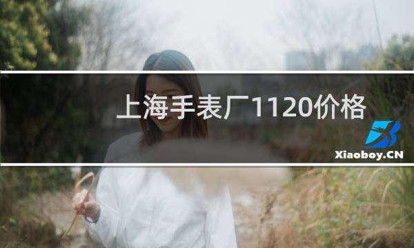 上海手表厂1120价格