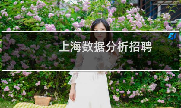 上海数据分析招聘