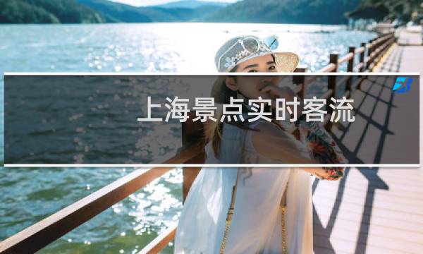 上海景点实时客流