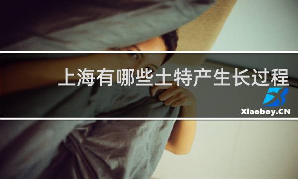 上海有哪些土特产生长过程