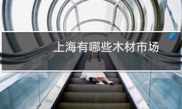 上海有哪些木材市场