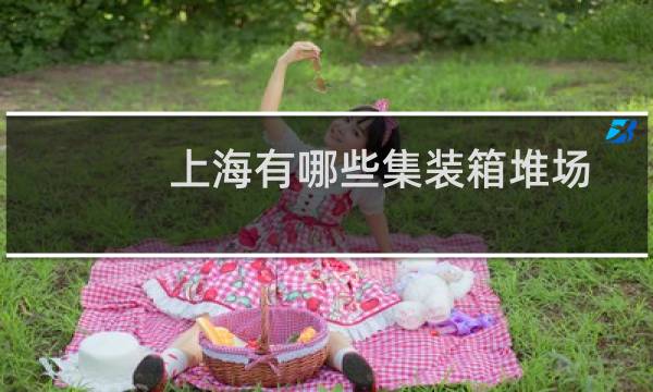 上海有哪些集装箱堆场