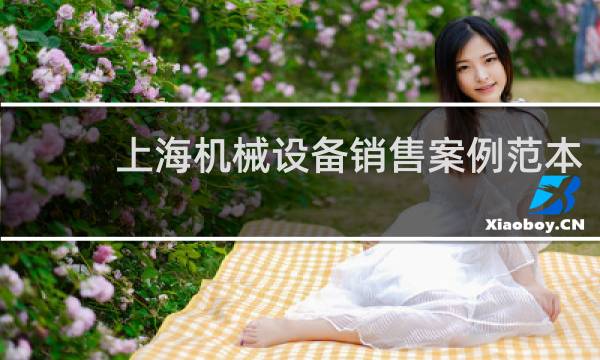 上海机械设备销售案例范本