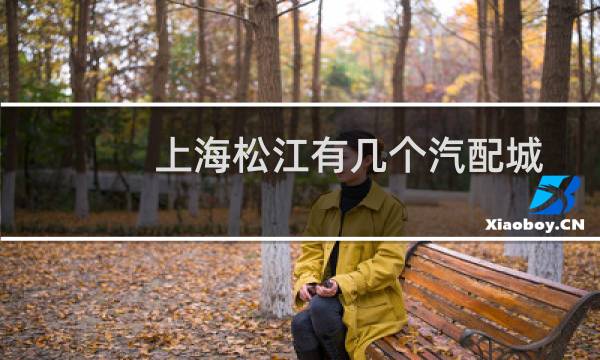 上海松江有几个汽配城