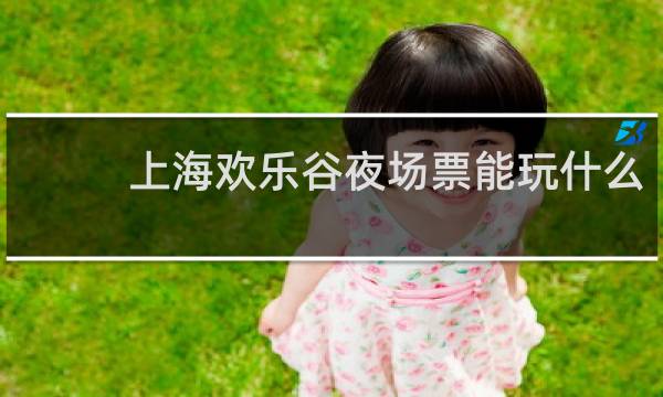 上海欢乐谷夜场票能玩什么