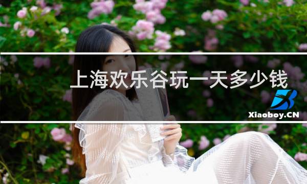 上海欢乐谷玩一天多少钱