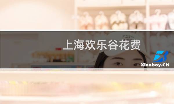 上海欢乐谷花费