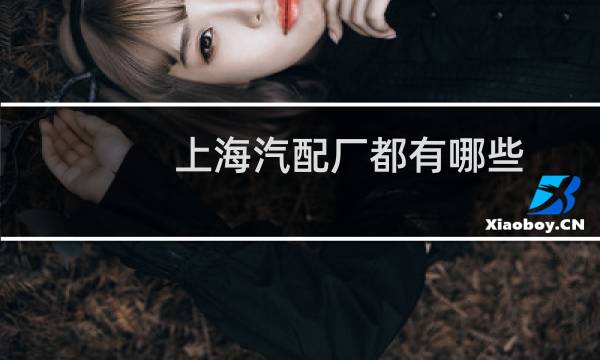 上海汽配厂都有哪些