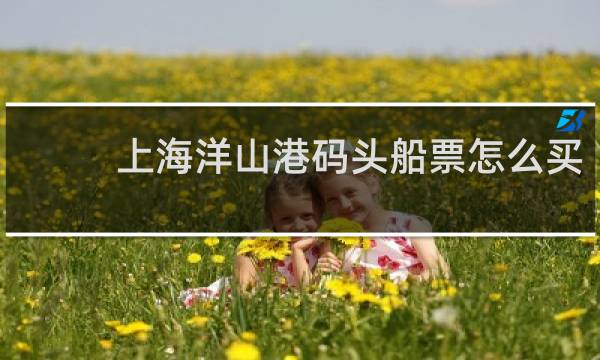上海洋山港码头船票怎么买