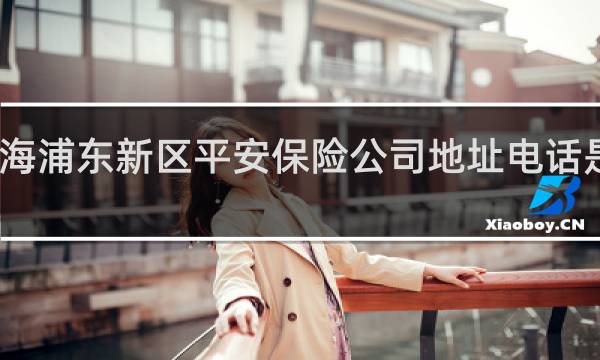 上海浦东新区平安保险公司地址电话是多少钱
