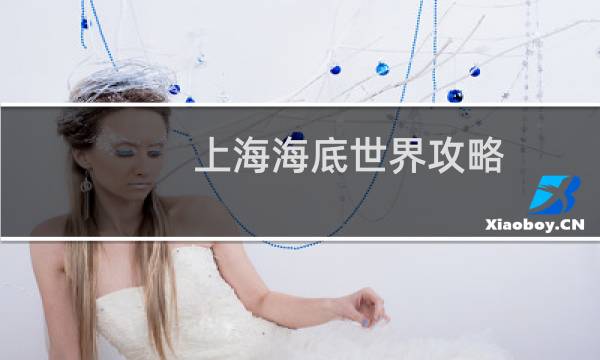 上海海底世界攻略