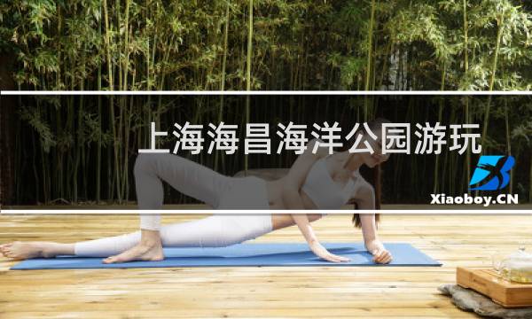 上海海昌海洋公园游玩