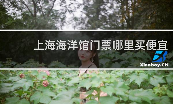 上海海洋馆门票哪里买便宜