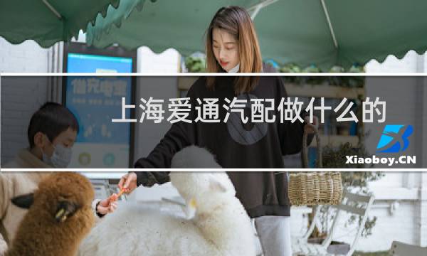 上海爱通汽配做什么的
