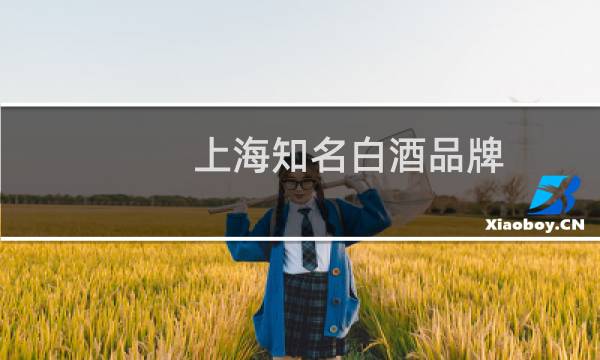 上海知名白酒品牌
