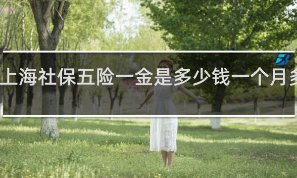 上海社保五险一金是多少钱一个月多少钱