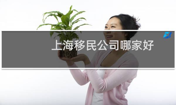 上海移民公司哪家好