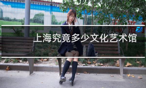 上海究竟多少文化艺术馆